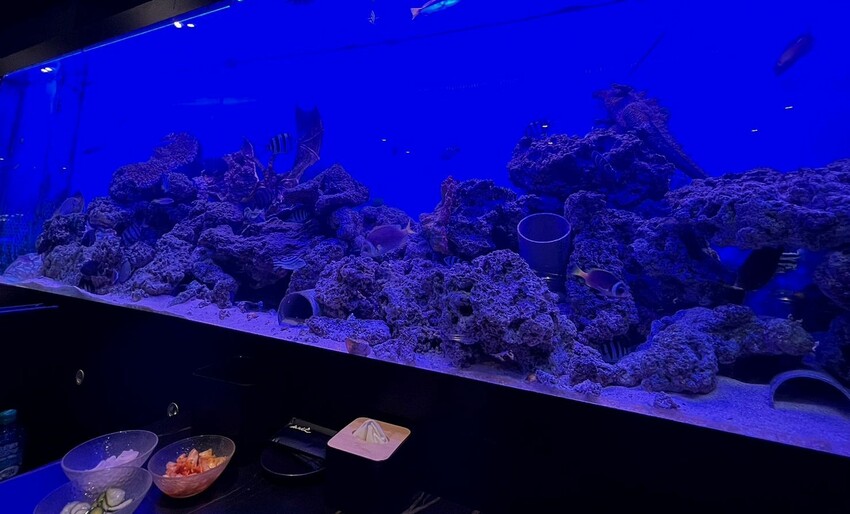 好吃到不行、要訂位才吃的到❗新竹美食，山上走走日式無菜單燒肉專門店，精緻又不貴的海底世界燒肉饗宴