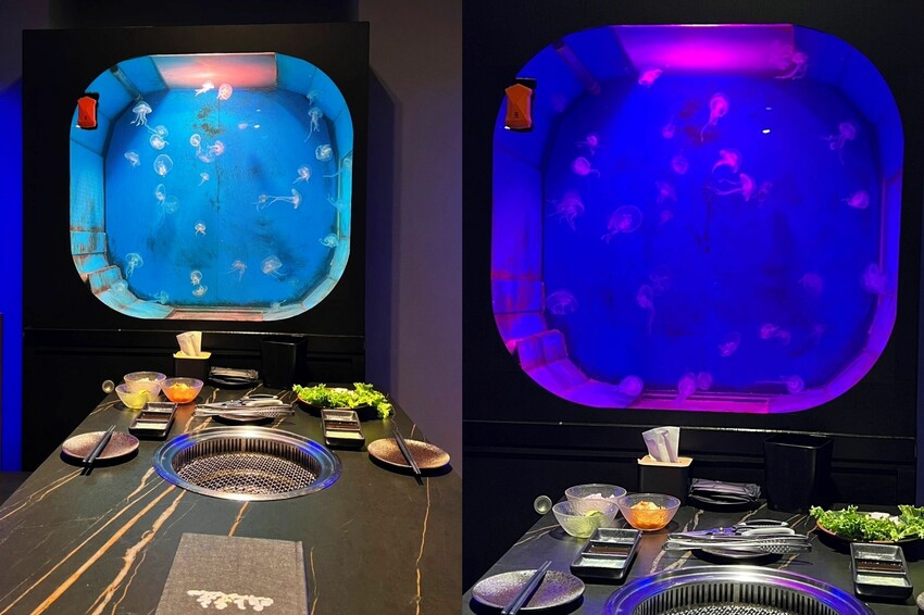 好吃到不行、要訂位才吃的到❗新竹美食，山上走走日式無菜單燒肉專門店，精緻又不貴的海底世界燒肉饗宴