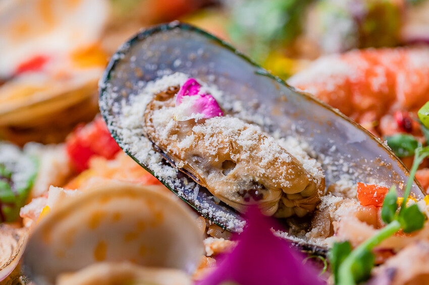 左營網美餐廳 – 北歐北歐 x 異國優美氛圍 潔白北歐風 最佳約會聖地 令人想不到的創意料理 精緻下午茶 免費