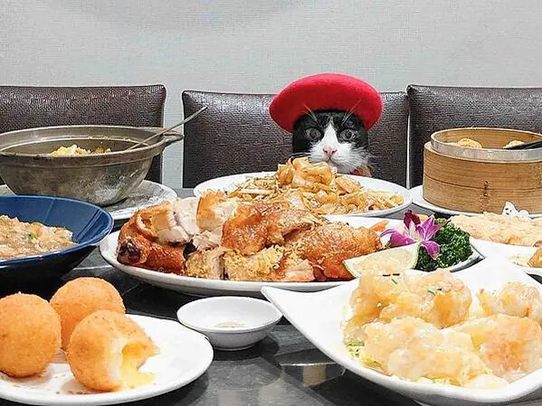 🍴〔餐廳×台北〕宸軒園-粤菜海鮮(中興店) | 台北新店美食