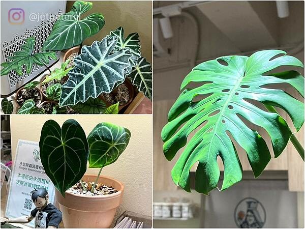 LINE_ALBUM_20230618 _2_230619_18.jpg