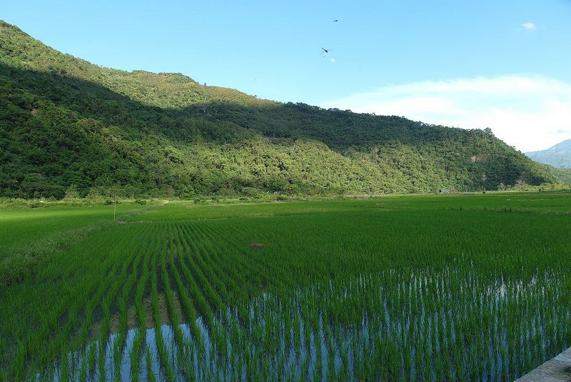 10698460_802022206486242_60698358439425788_n