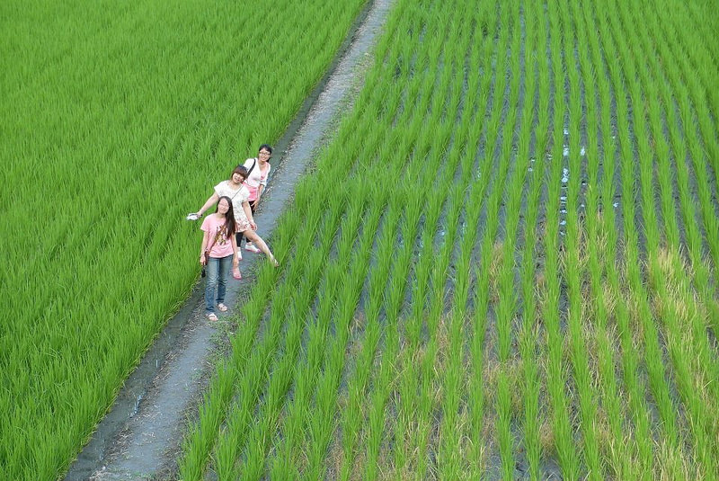 68940_802022583152871_2032453274465864793_n