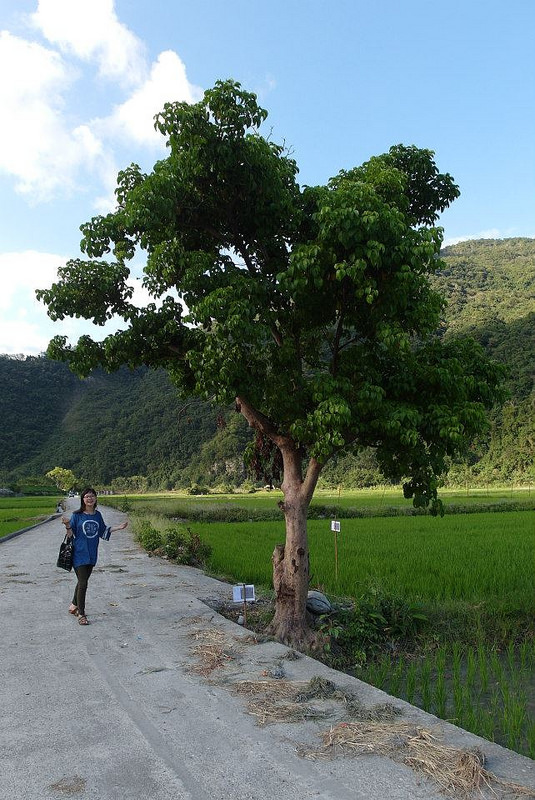 10703571_802022116486251_5513978553015541_n