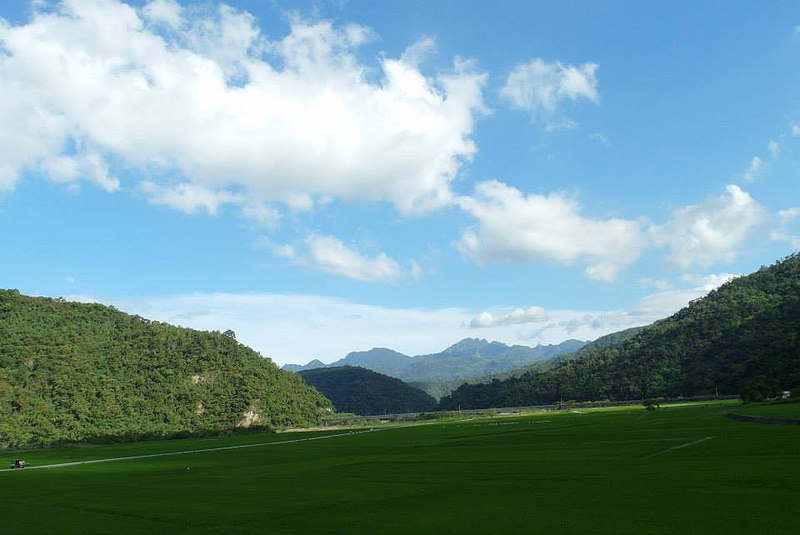 1937469_802020499819746_2922429698143919361_n