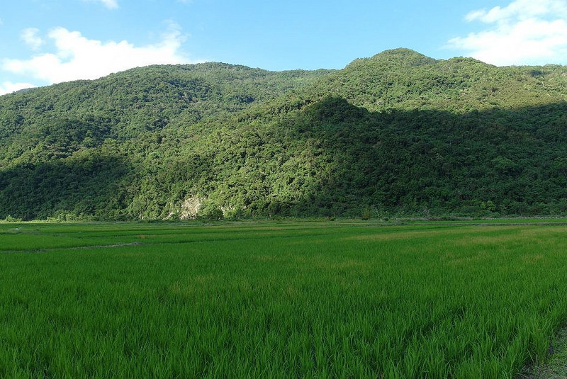 10624709_802021333152996_3249163579497348617_n