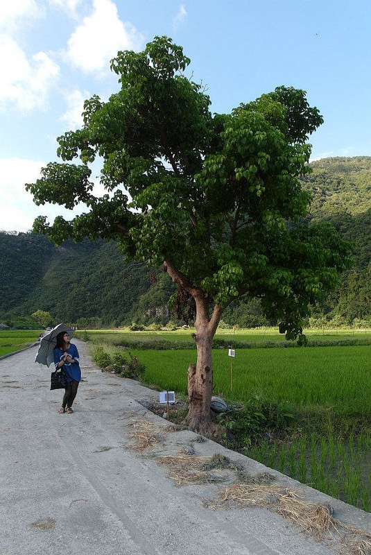 10483742_802022139819582_8560299611290969129_n