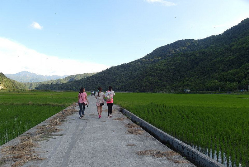 10620606_802022236486239_928467156329232857_n