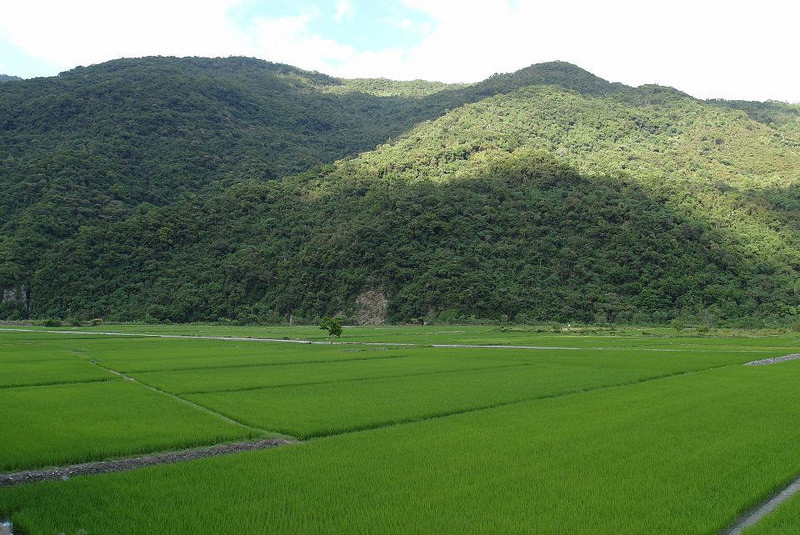 10352342_802020596486403_6400843525169122809_n