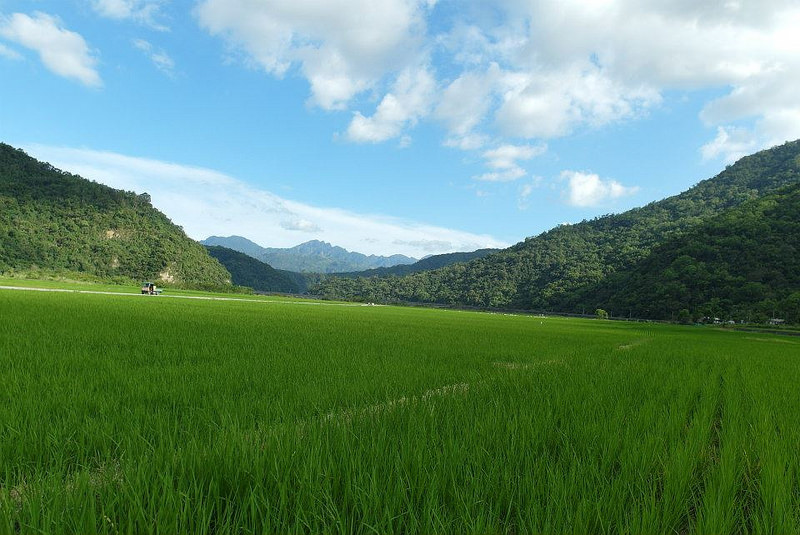 10626487_802021169819679_1921872050396862911_n