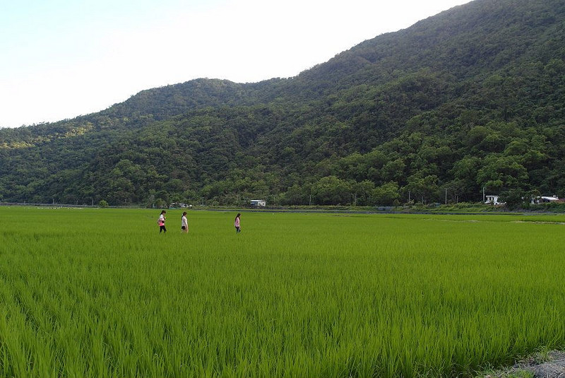 10678857_802022389819557_4535281273044911185_n