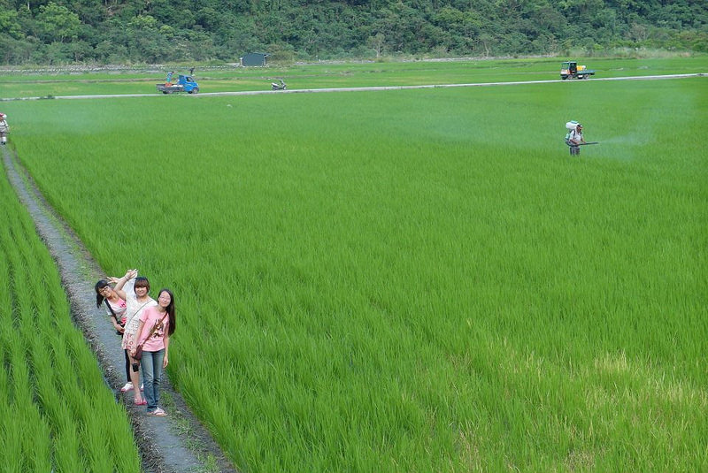 10616047_802022513152878_2929786987966957601_n