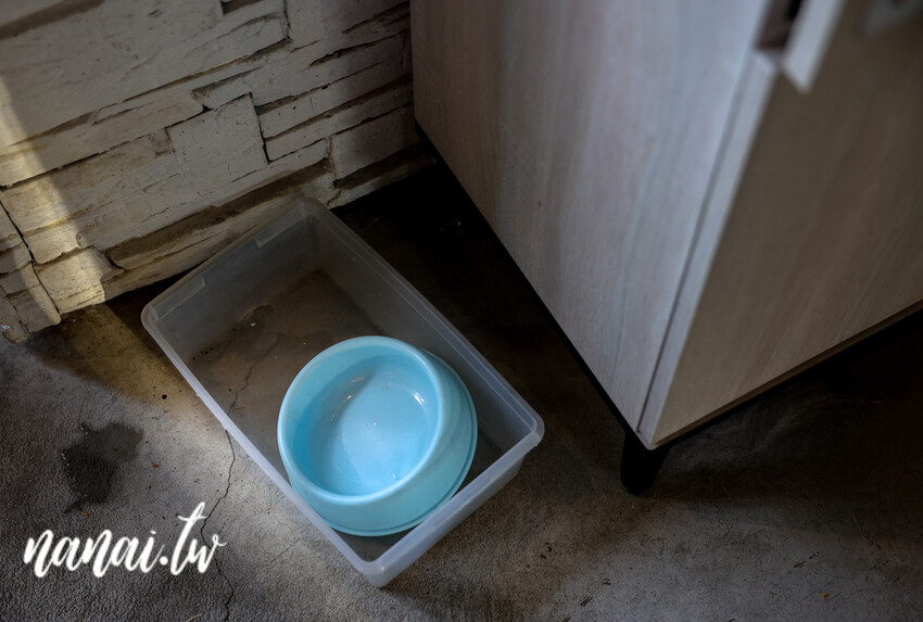 帶狗狗一起去台式熱炒寵物友善餐廳,還有超大草坪可以跑跳放風,重點開到晚上23:00,晚上肚子餓救星,台中野沐私房菜