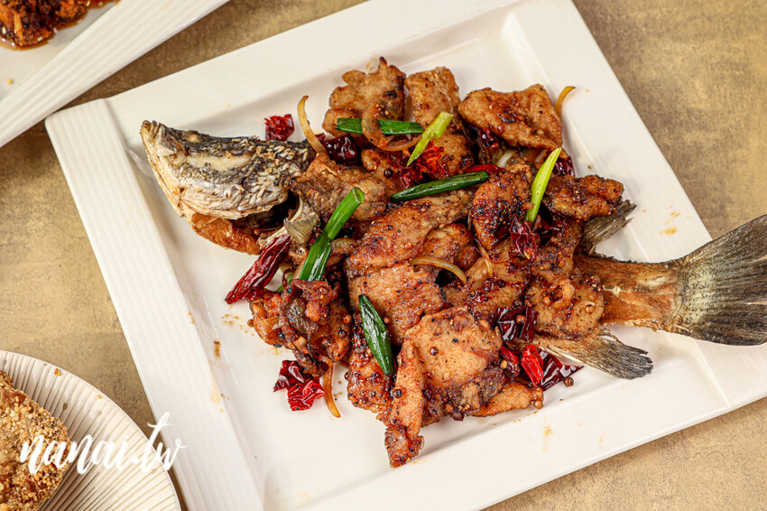 帶狗狗一起去台式熱炒寵物友善餐廳,還有超大草坪可以跑跳放風,重點開到晚上23:00,晚上肚子餓救星,台中野沐私房菜