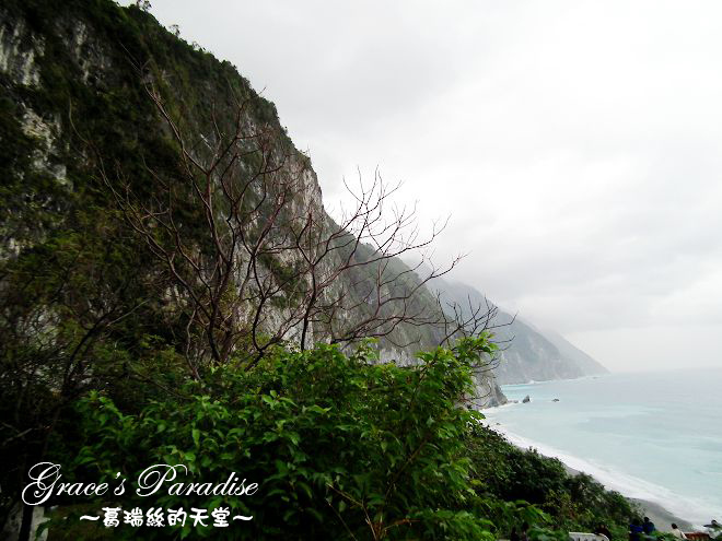 DSCF1265_nEO_IMG.jpg DSCF1265_nEO_IMG.jpg