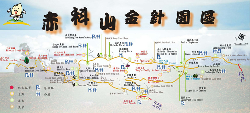 【花蓮】。還沒看過金針花海嗎? 讓 [自己的小小世界] 帶你遊走 "5個非去不可的赤柯山景點" 看金針花 吃金針花 拍金針花 │ 千噸石龜．小瑞士農莊．汪家古厝．萱園居．觀景台