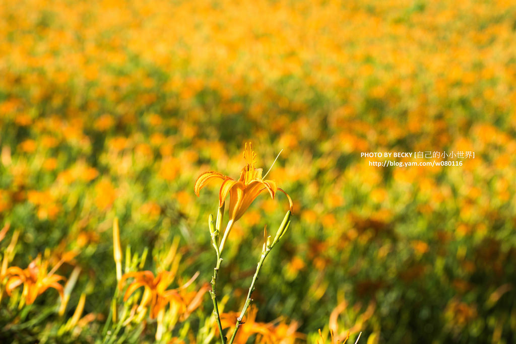 2014.Aug Hualien landscape