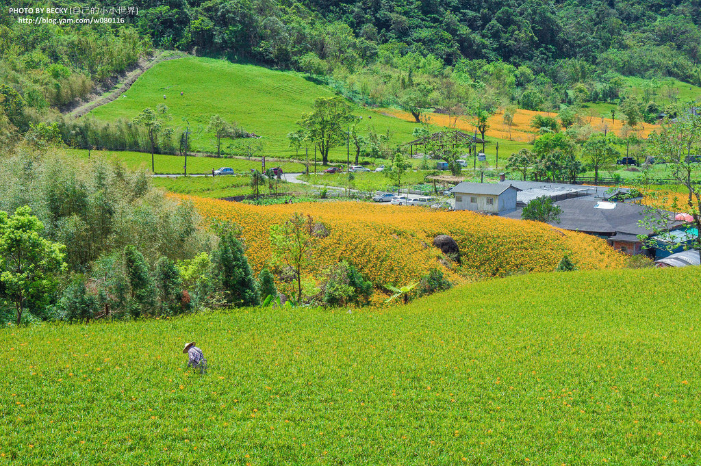 2014.Aug Hualien landscape
