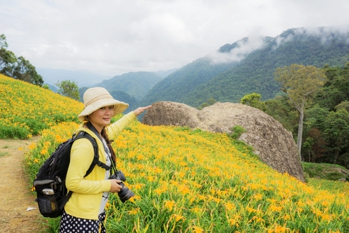 【花蓮】。還沒看過金針花海嗎? 讓 [自己的小小世界] 帶你遊走 "5個非去不可的赤柯山景點" 看金針花 吃金針花 拍金針花 │ 千噸石龜．小瑞士農莊．汪家古厝．萱園居．觀景台