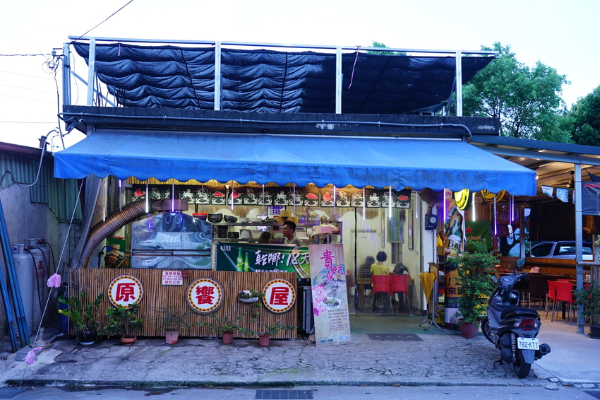 [花蓮金針花季]2019赤科山金針花-金黃色地毯鋪滿山頭 還有很多花沒開 20190820花況 花蓮一日行程推薦 大推原饗屋炸牛蒡 嘉茗茶園 毫香碧綠茶 花蓮vlog