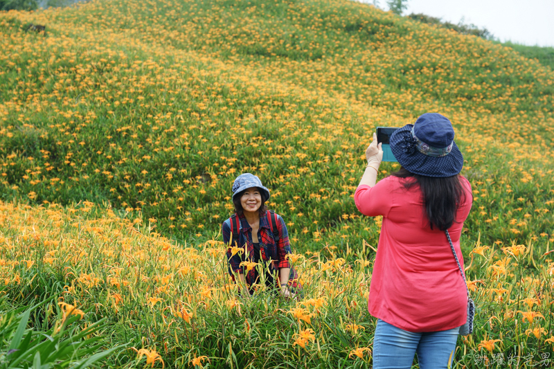 [花蓮金針花季]2019赤科山金針花-金黃色地毯鋪滿山頭 還有很多花沒開 20190820花況 花蓮一日行程推薦 大推原饗屋炸牛蒡 嘉茗茶園 毫香碧綠茶 花蓮vlog