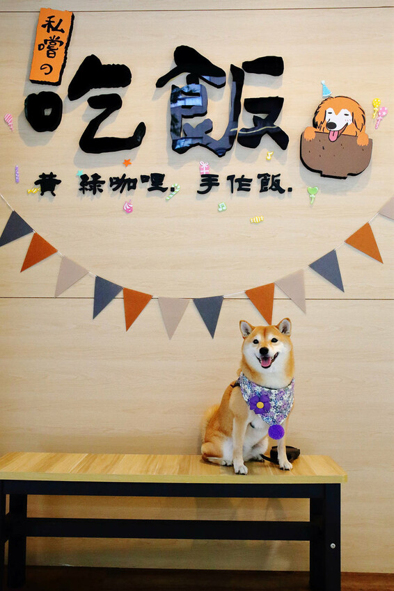 私嚐の吃飯北大店。三峽寵物餐廳推薦,超好吃唐揚雞有層次的咖哩