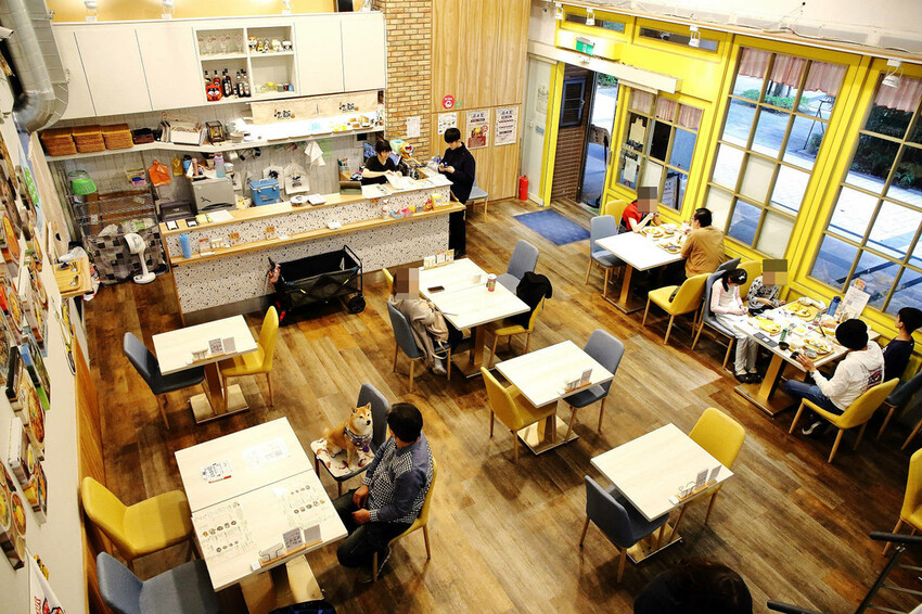 私嚐の吃飯北大店。三峽寵物餐廳推薦,超好吃唐揚雞有層次的咖哩