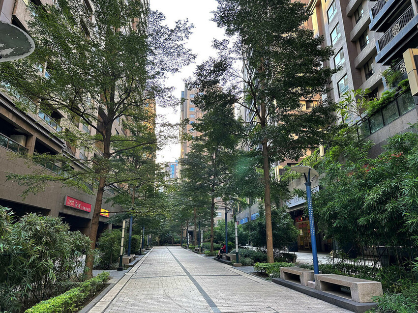 私嚐の吃飯北大店。三峽寵物餐廳推薦,超好吃唐揚雞有層次的咖哩