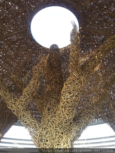 20140131_162416.jpg 20140131_162416.jpg