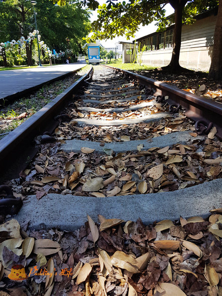 nEO_IMG_20160626_090946