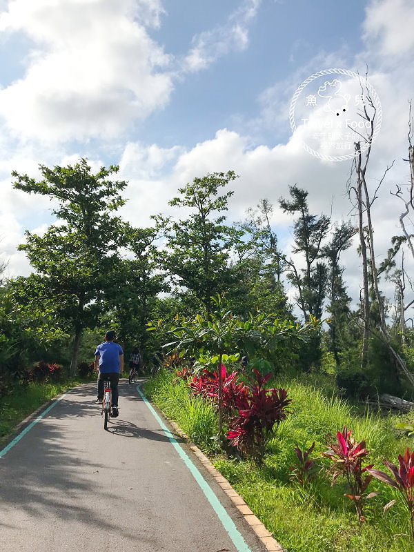 【遊】台東森林公園（琵琶湖、海濱公園），絕美自行車道，騎車觀景好悠閒～ @魚兒 x 牽手明太子的「視」界旅行