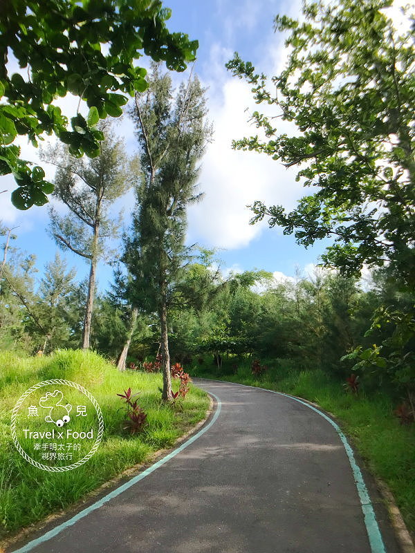 【遊】台東森林公園（琵琶湖、海濱公園），絕美自行車道，騎車觀景好悠閒～ @魚兒 x 牽手明太子的「視」界旅行