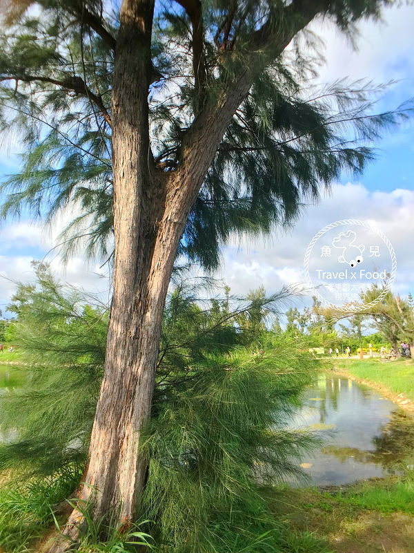 【遊】台東森林公園（琵琶湖、海濱公園），絕美自行車道，騎車觀景好悠閒～ @魚兒 x 牽手明太子的「視」界旅行