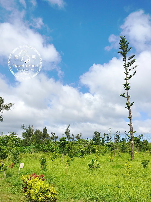 【遊】台東森林公園（琵琶湖、海濱公園），絕美自行車道，騎車觀景好悠閒～ @魚兒 x 牽手明太子的「視」界旅行