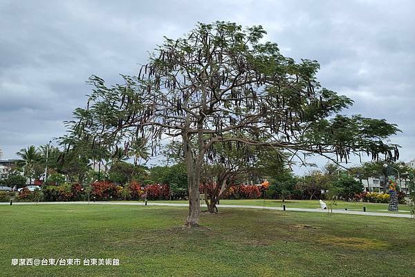 【台東/台東市】台東美術館