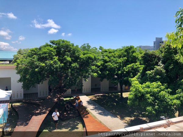 台東美術館_200802_12.jpg