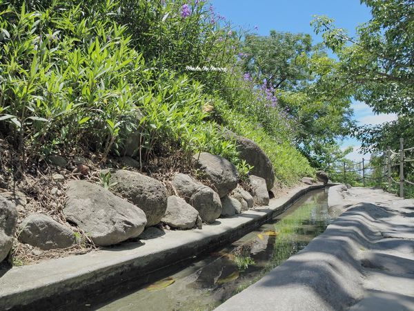 P7310197_調整大小