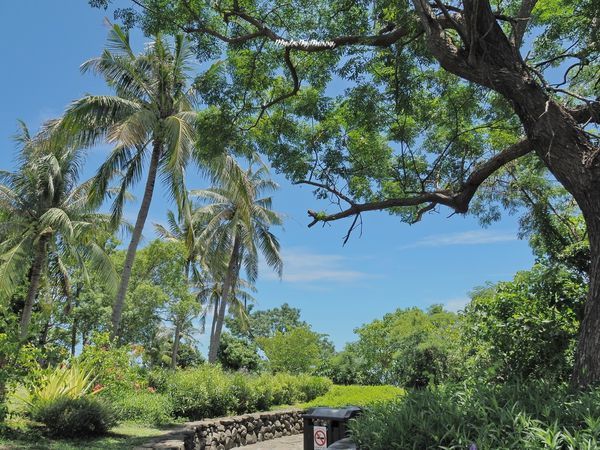 P7310201_調整大小