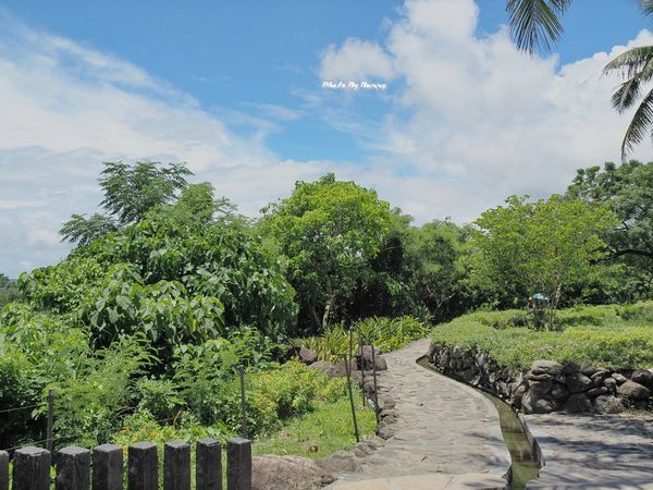 P7310198_調整大小