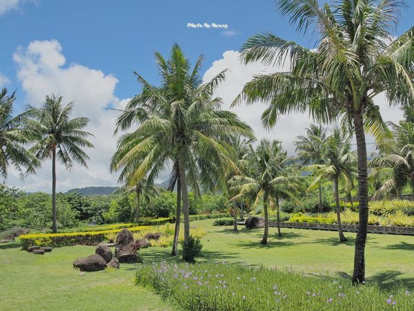 P7310202_調整大小