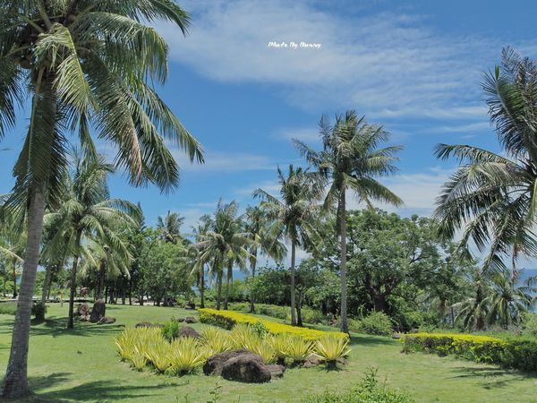 P7310203_調整大小