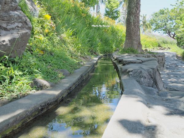 P7310196_調整大小