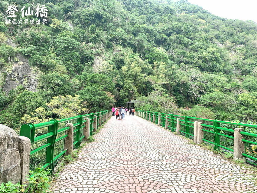 台東登仙橋遊憩區賞獼猴！泰源幽谷路邊猴子軍團出沒！近距離看可愛台灣獼猴！ @猴屁的異想世界