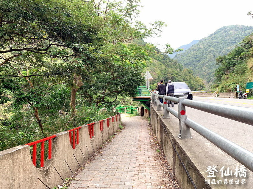 台東登仙橋遊憩區賞獼猴！泰源幽谷路邊猴子軍團出沒！近距離看可愛台灣獼猴！ @猴屁的異想世界
