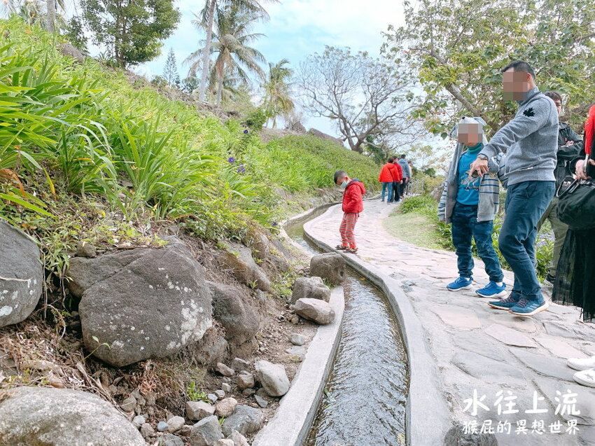 台東登仙橋遊憩區賞獼猴！泰源幽谷路邊猴子軍團出沒！近距離看可愛台灣獼猴！ @猴屁的異想世界