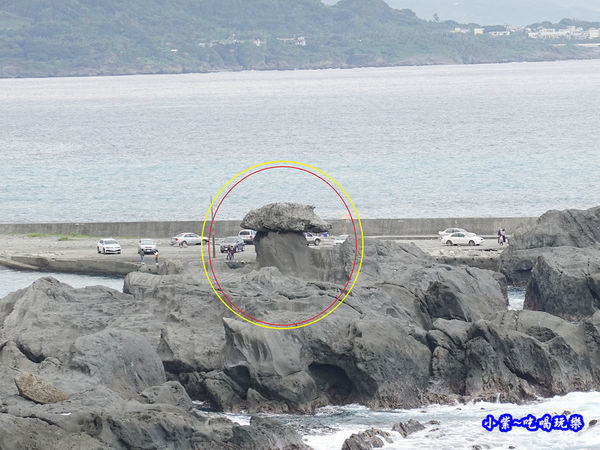 台東-石雨傘遊憩區 (2).jpg