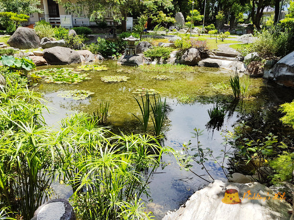 nEO_IMG_20160625_122346