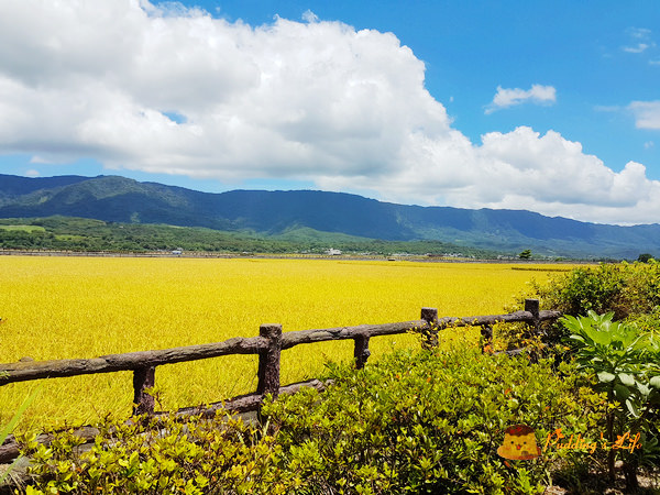 nEO_IMG_20160625_122556