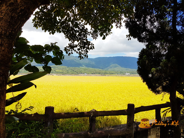 nEO_IMG_20160625_122506