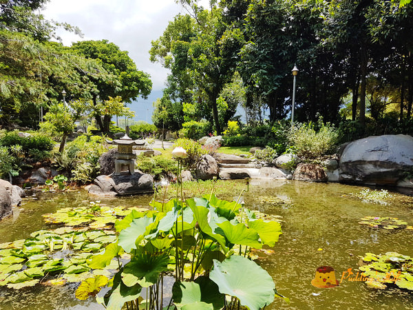 nEO_IMG_20160625_122451